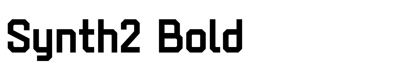 Synth2 Bold